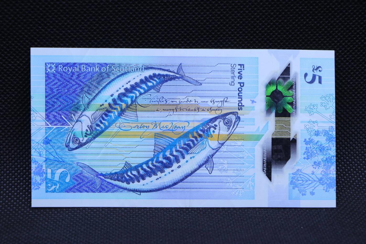 【淘币小摊】限时拍第八百二十一拍  纸币场  满百包邮可预留两周  周一统一发货   苏格兰银行2016年5镑塑料钞【有折】