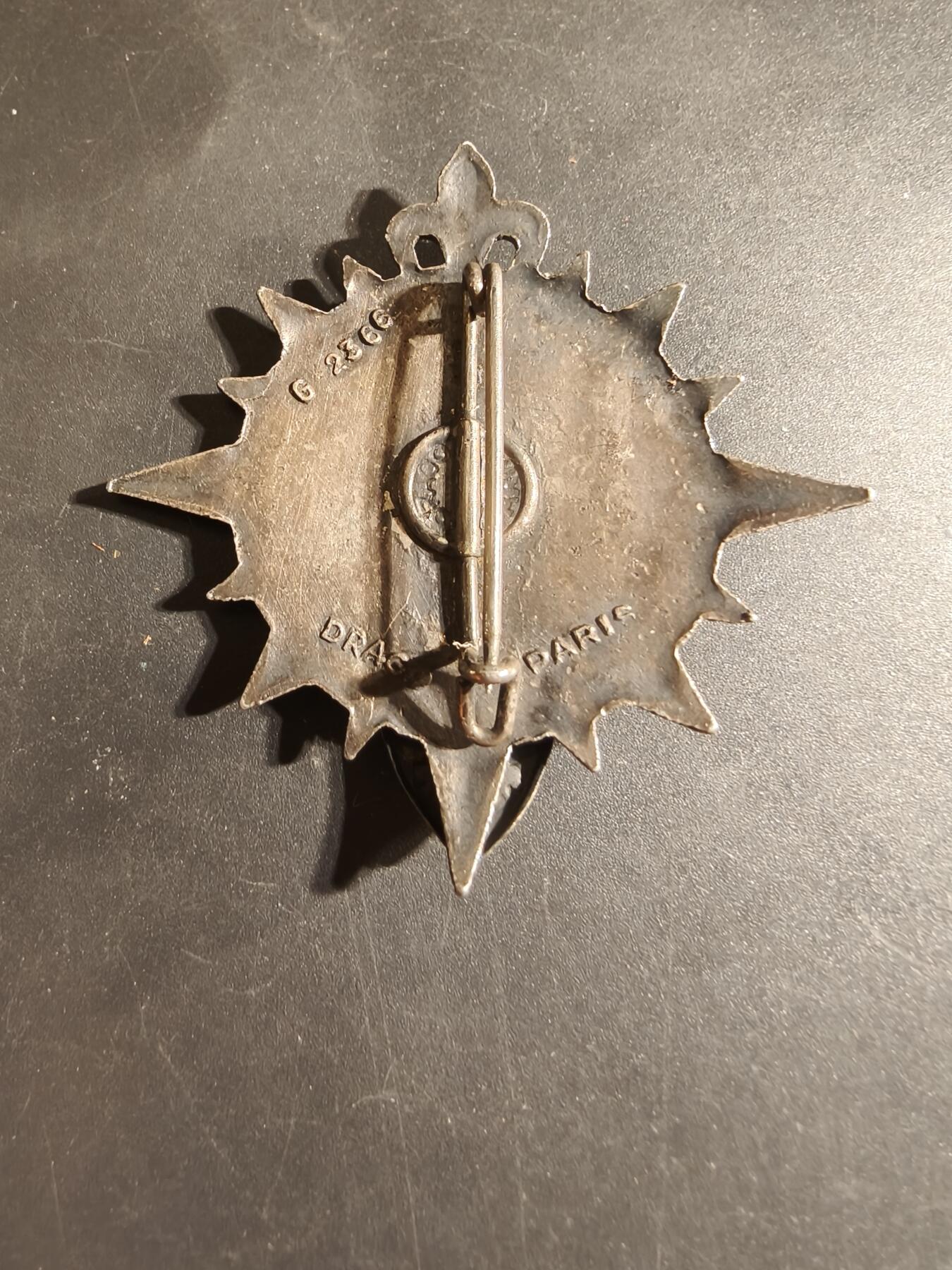 老王徽章第168期 法国第602区域勤务团证章