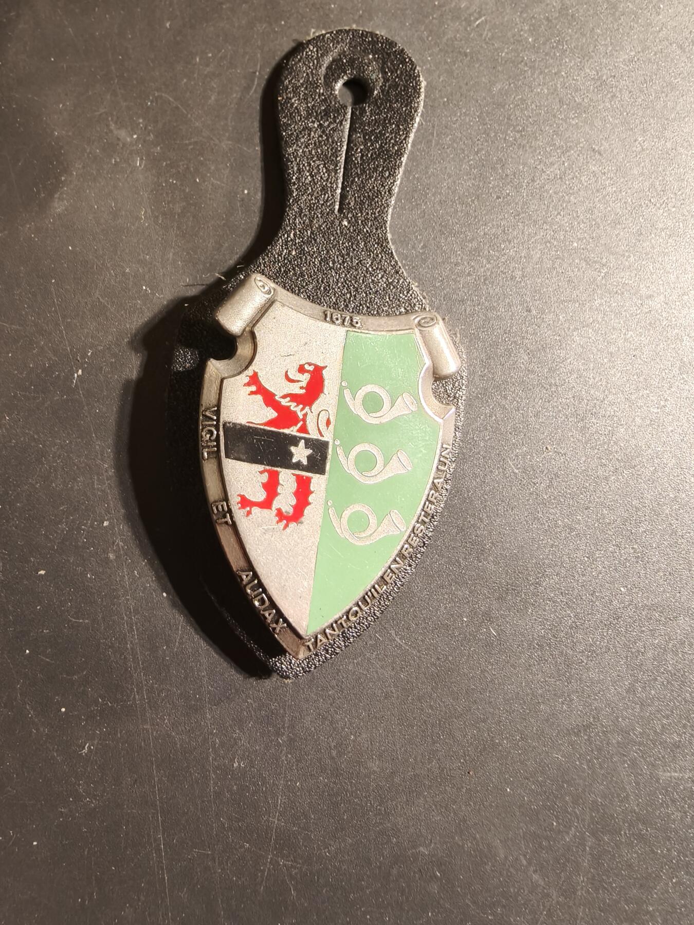 老王徽章第168期