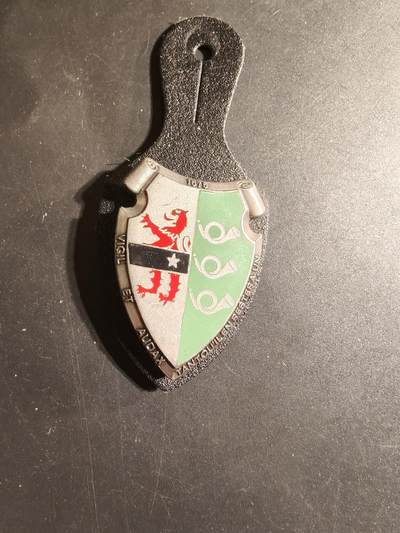 老王徽章第168期 - 比利时第3猎骑兵团证章