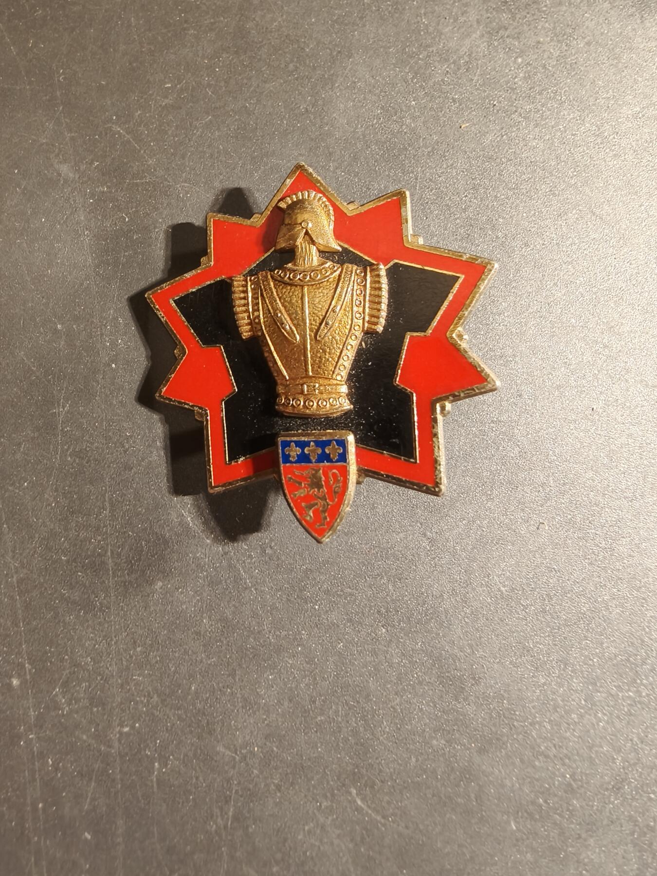 老王徽章第168期 法国第33区域资源团证章