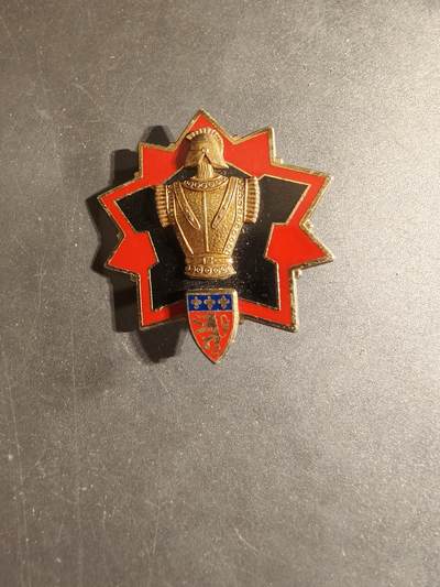 老王徽章第168期 - 法国第33区域资源团证章
