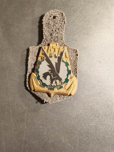 老王徽章第168期 - 法国第1海上机动运输营证章