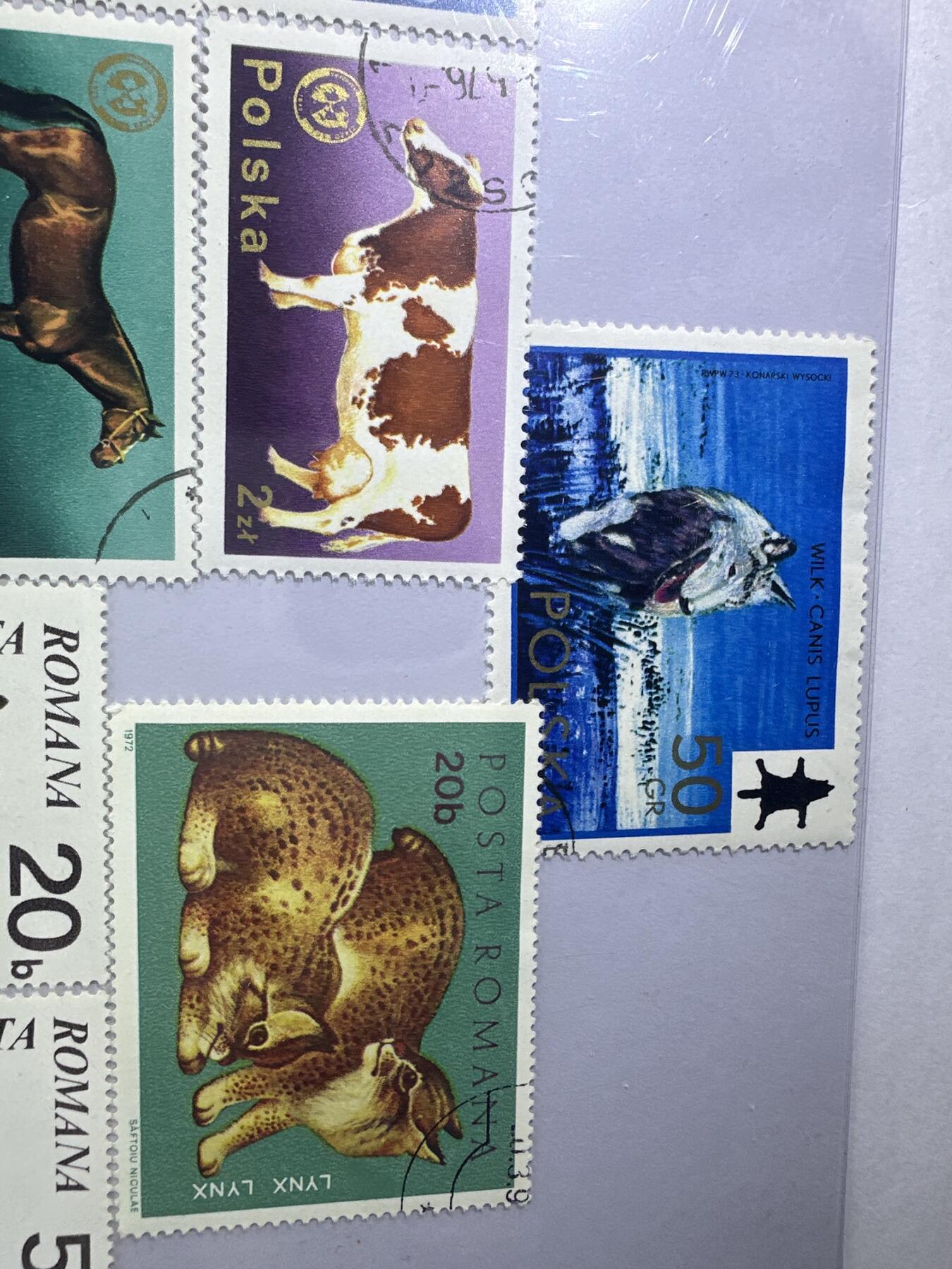 12.6邮票专场 波兰动物系列散票10枚