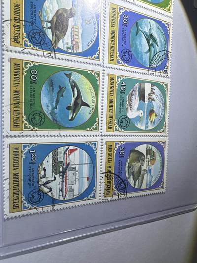 12.26邮票专场 蒙古1980年科学探索南极考察动物系列8全