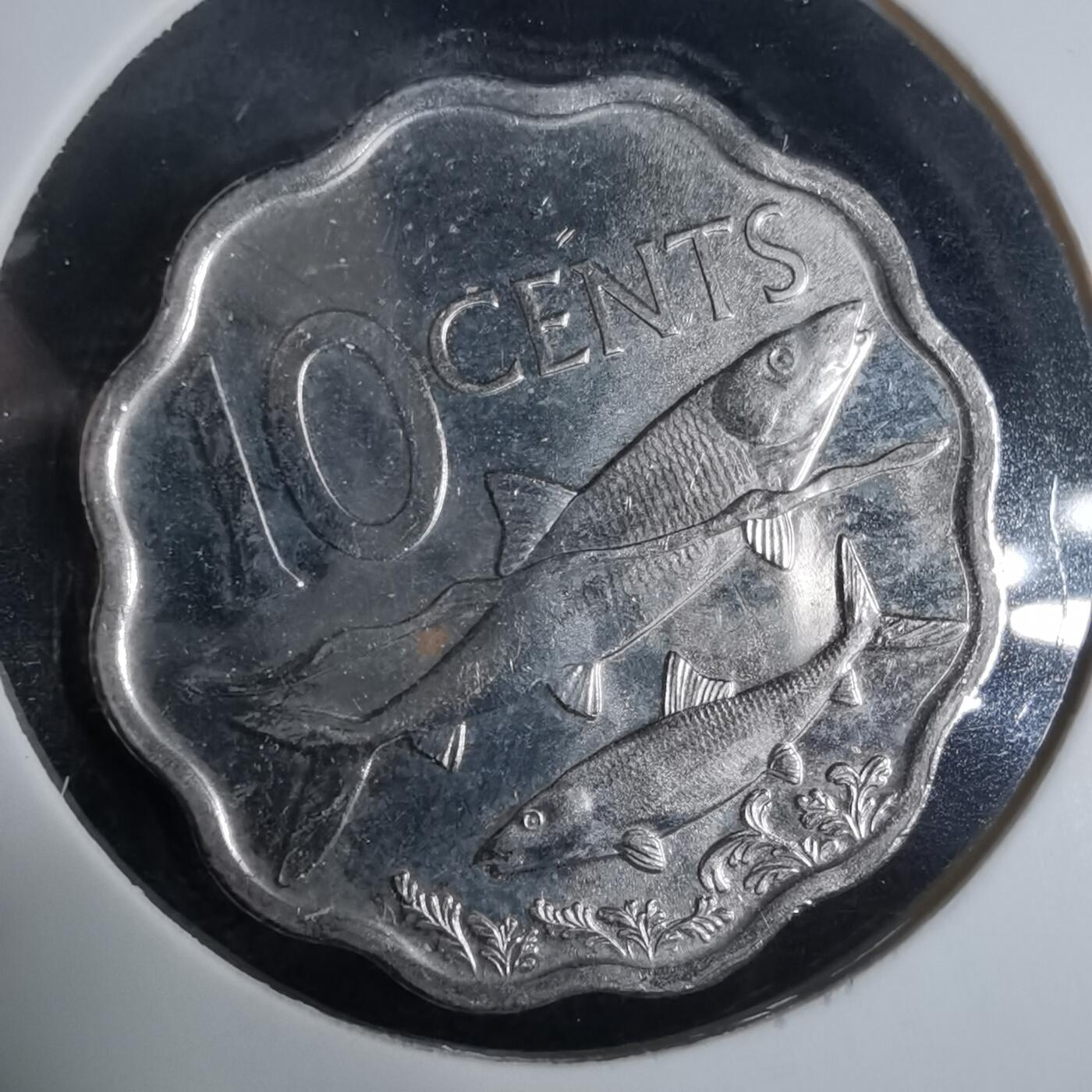 沼泽如烟--第921场 巴哈马2010年十分