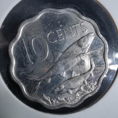 沼泽如烟--第921场 - 巴哈马2010年十分