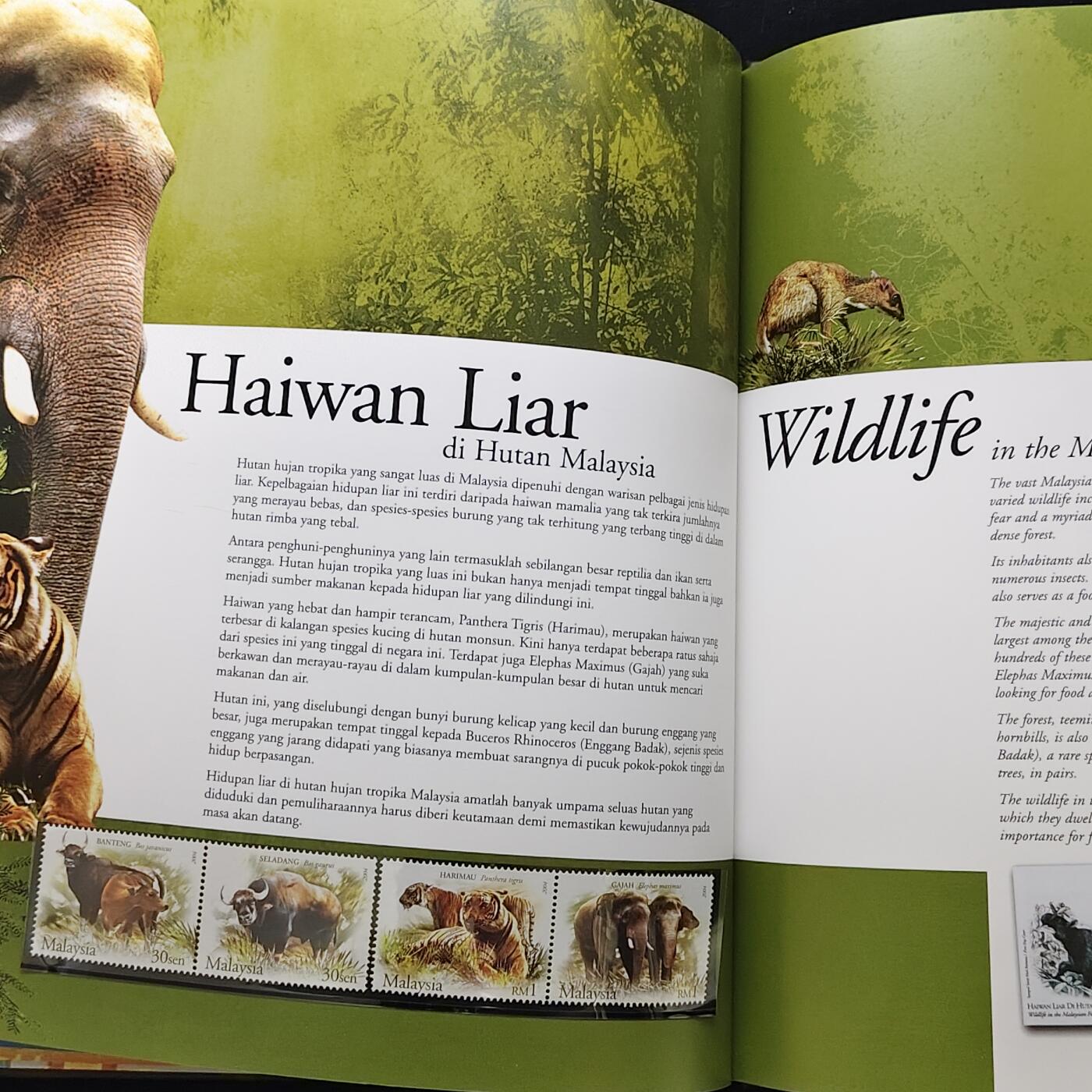 【全场包邮】纯粹捡漏拍483场（免费代拍第20场） 【邮品·收藏级】马来西亚2004年全彩页年度纪念邮册（国内罕见）