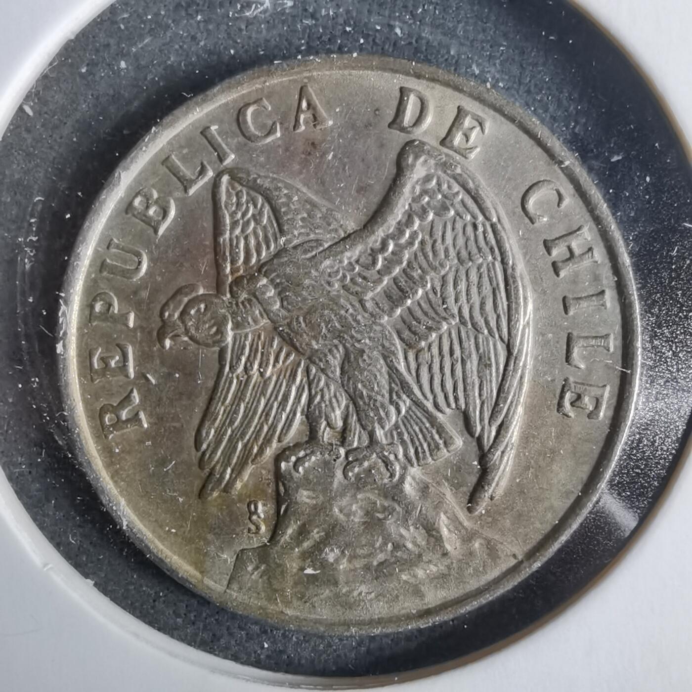 沼泽如烟--第921场 智利1975年50分