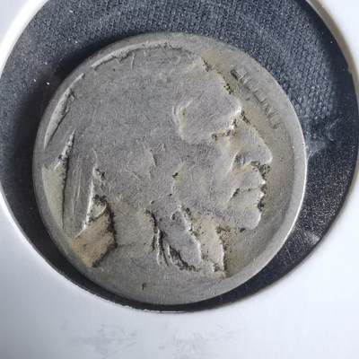 沼泽如烟--第921场 - 美国野牛五分