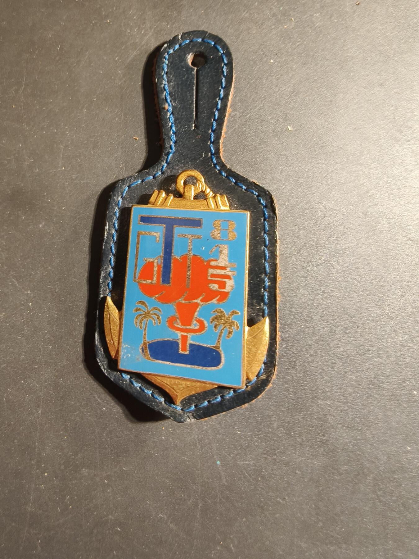 老王徽章第168期 法国第815通信团证章