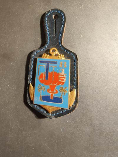 老王徽章第168期 - 法国第815通信团证章