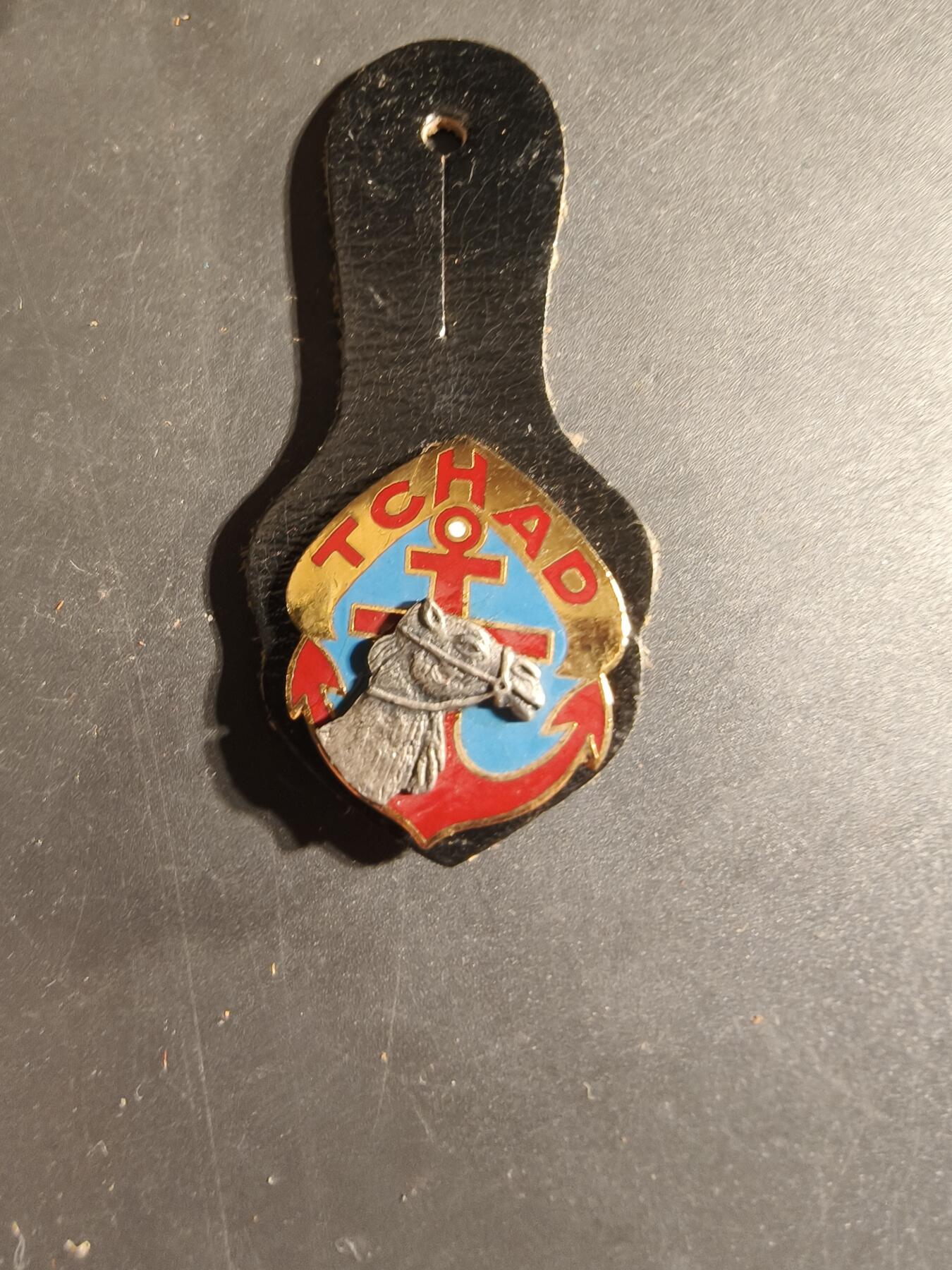 老王徽章第168期 法国乍得行进团证章