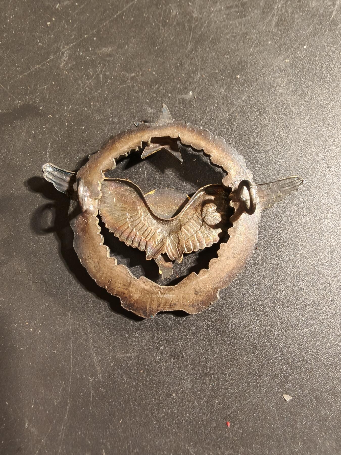 老王徽章第168期 法国空军跳伞测试员证章