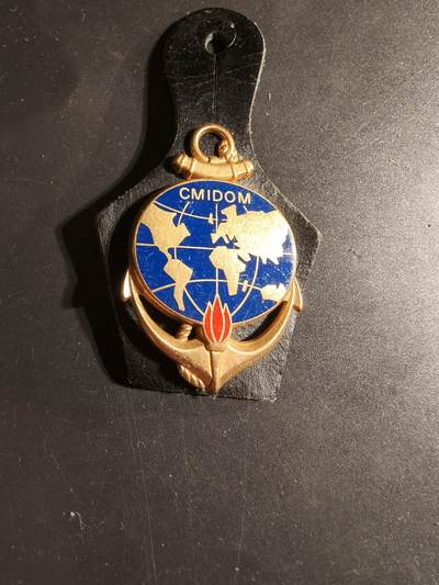 老王徽章第168期 - 法国军事信息档案管理中心证章