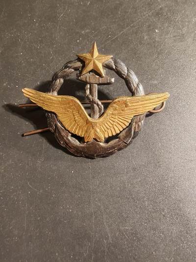老王徽章第168期 - 法国海军航空兵飞行员证章