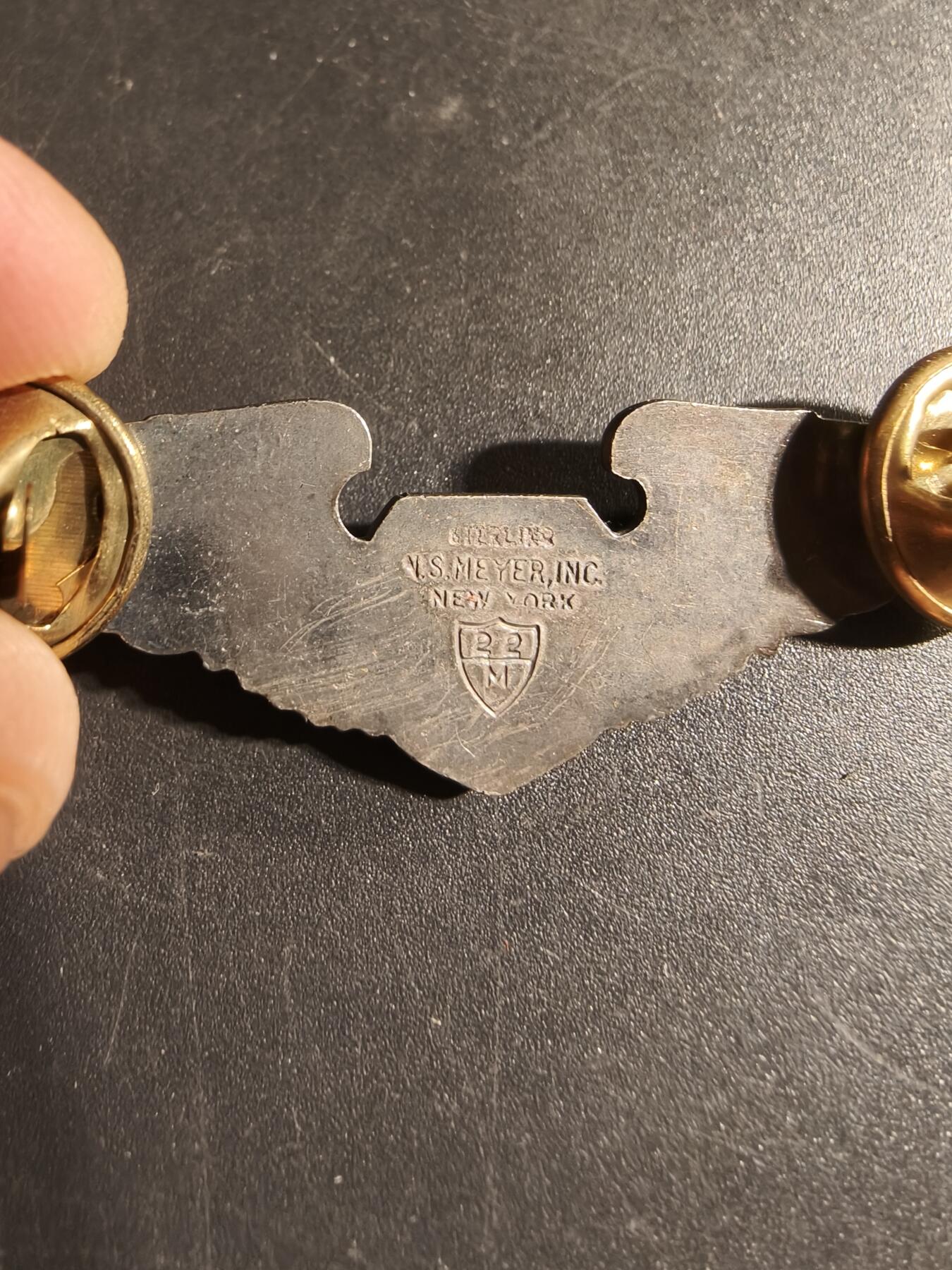 老王徽章第168期 美国空军军医技能章    925银    2英寸