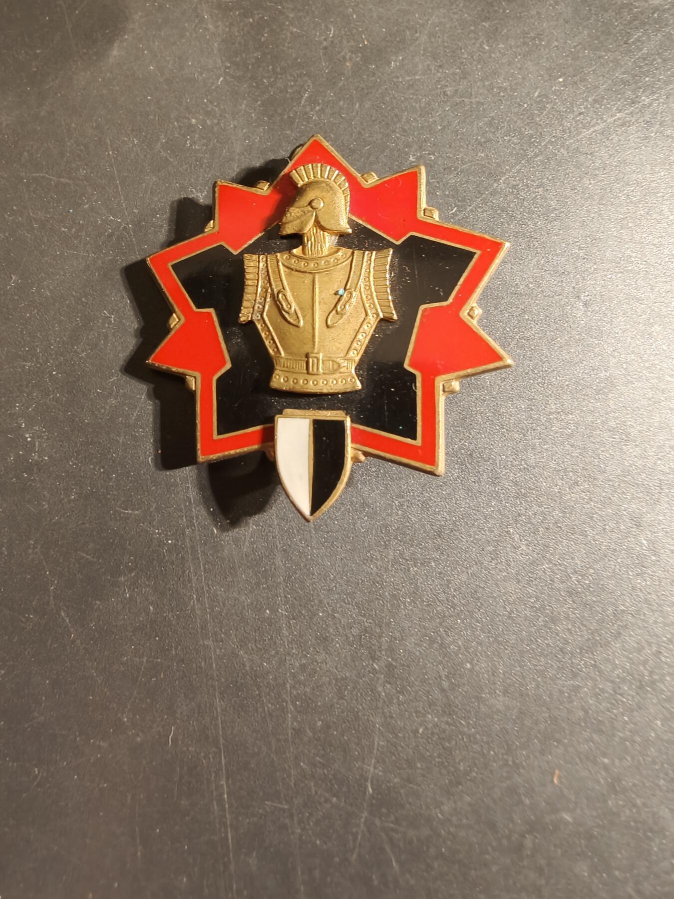 老王徽章第168期 法国工兵管理局证章