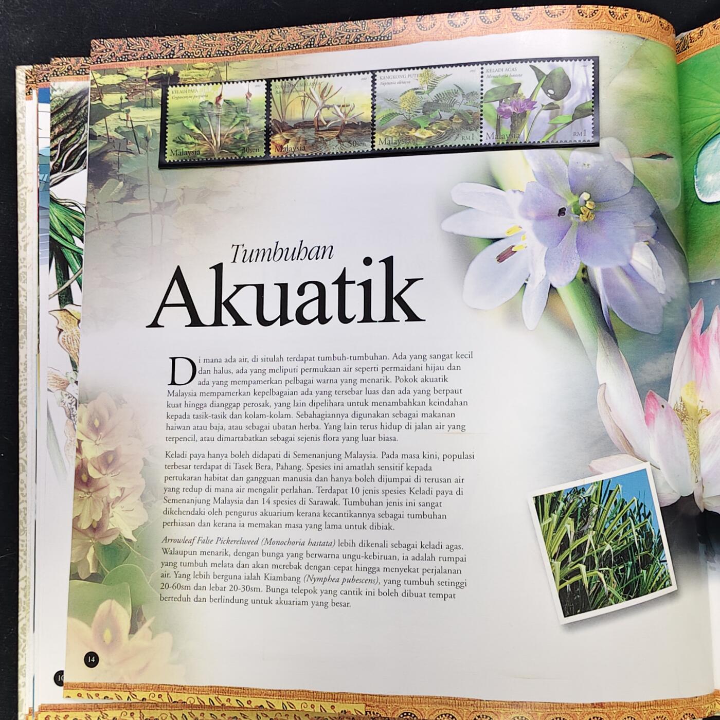 【全场包邮】纯粹捡漏拍483场（免费代拍第20场） 【邮品·收藏级】马来西亚2002年全彩页年度纪念邮册（国内罕见）