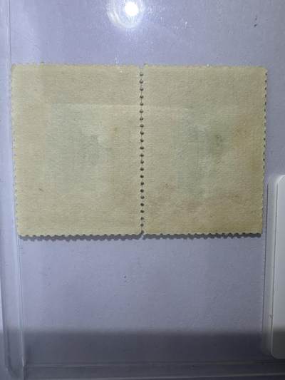 12.26邮票专场 清纪2宣统登基纪念贰分 直双连2枚