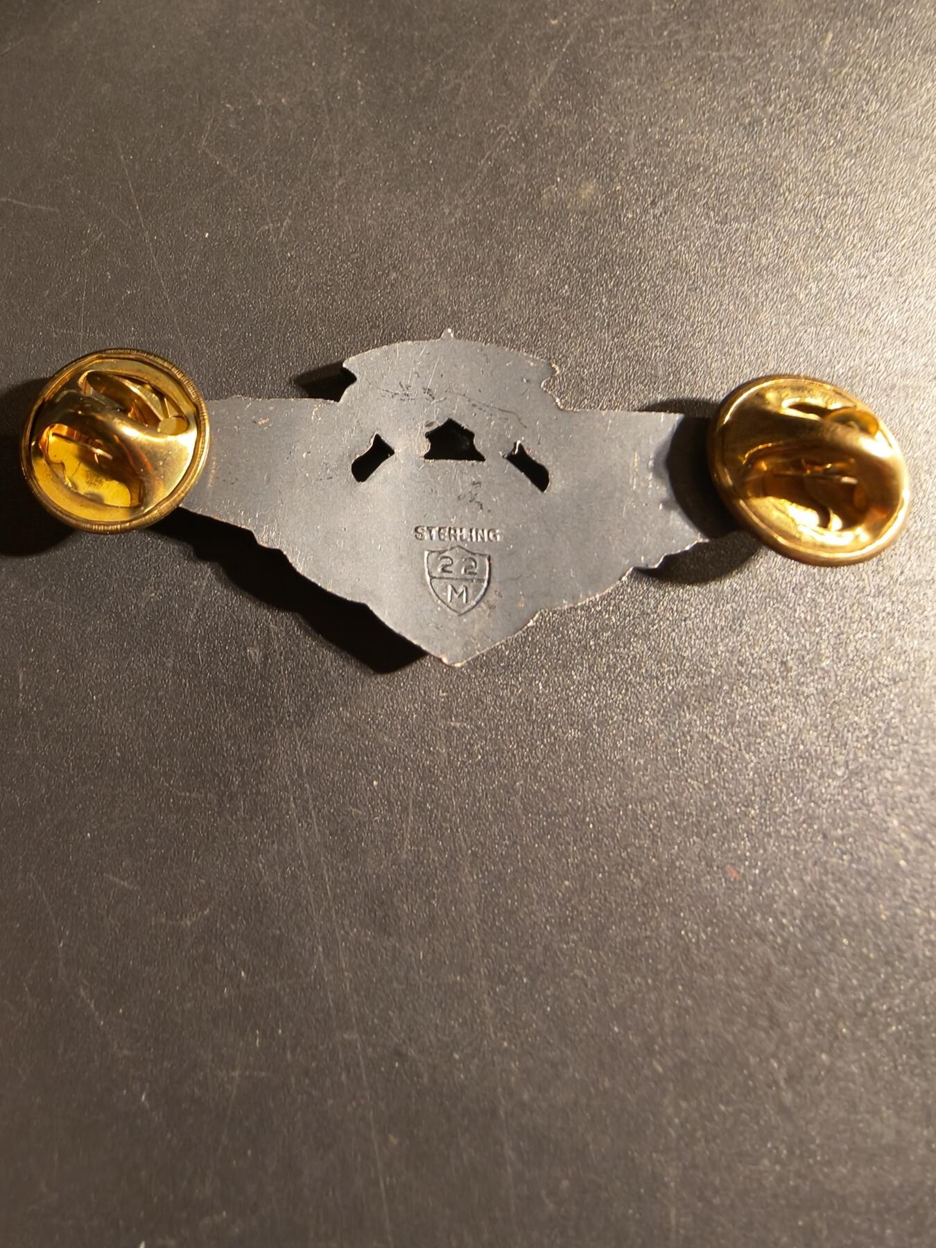 老王徽章第168期 美国空军军医高级技能章 925银 2英寸