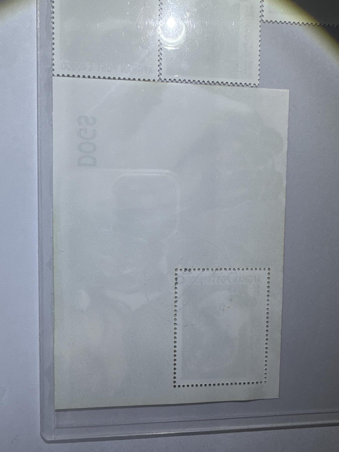 12.6邮票专场 阿富汗1999年世界名犬系列5全+小型张