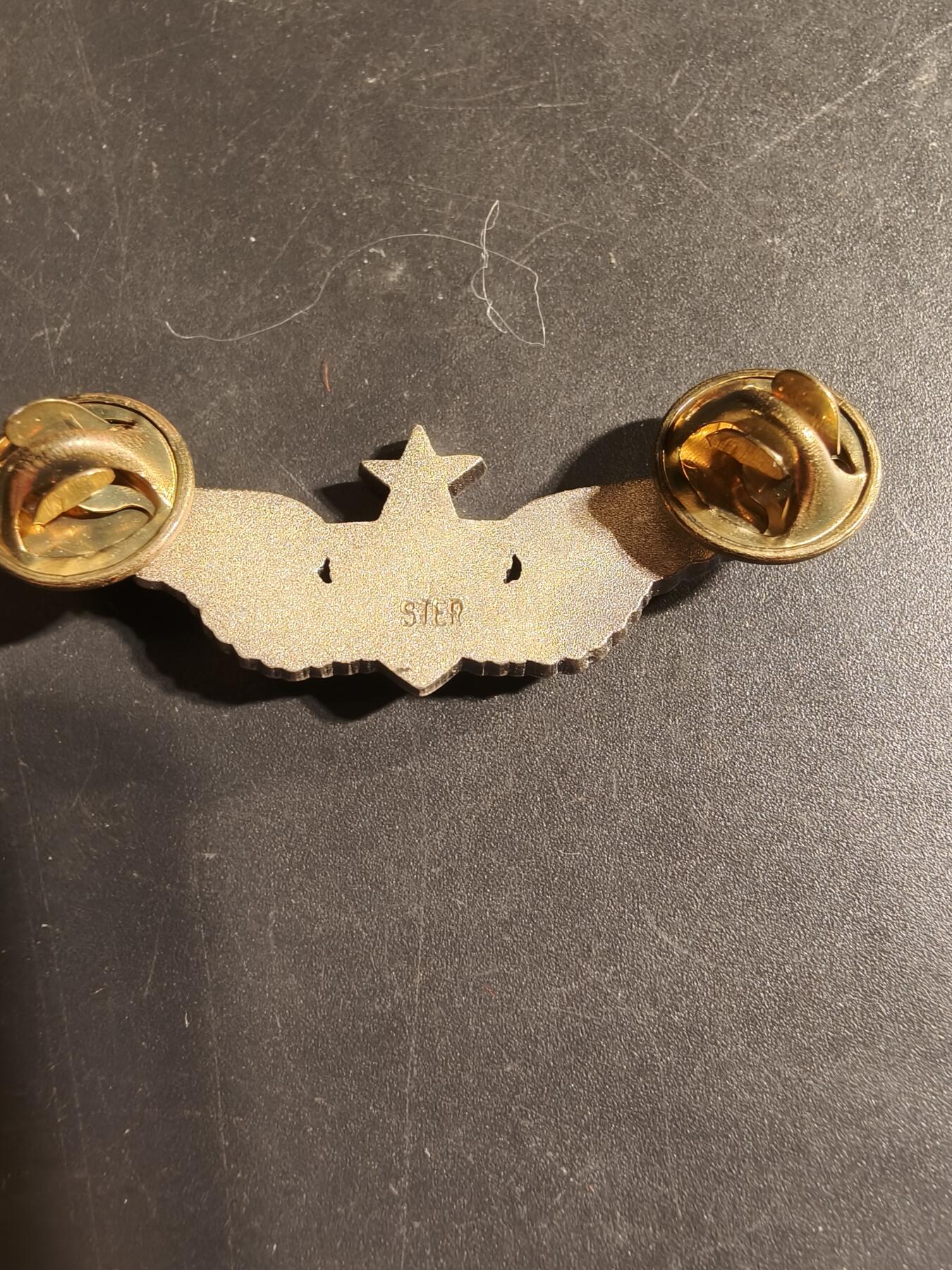 老王徽章第168期 美国空军军医中级技能章 925银 2英寸