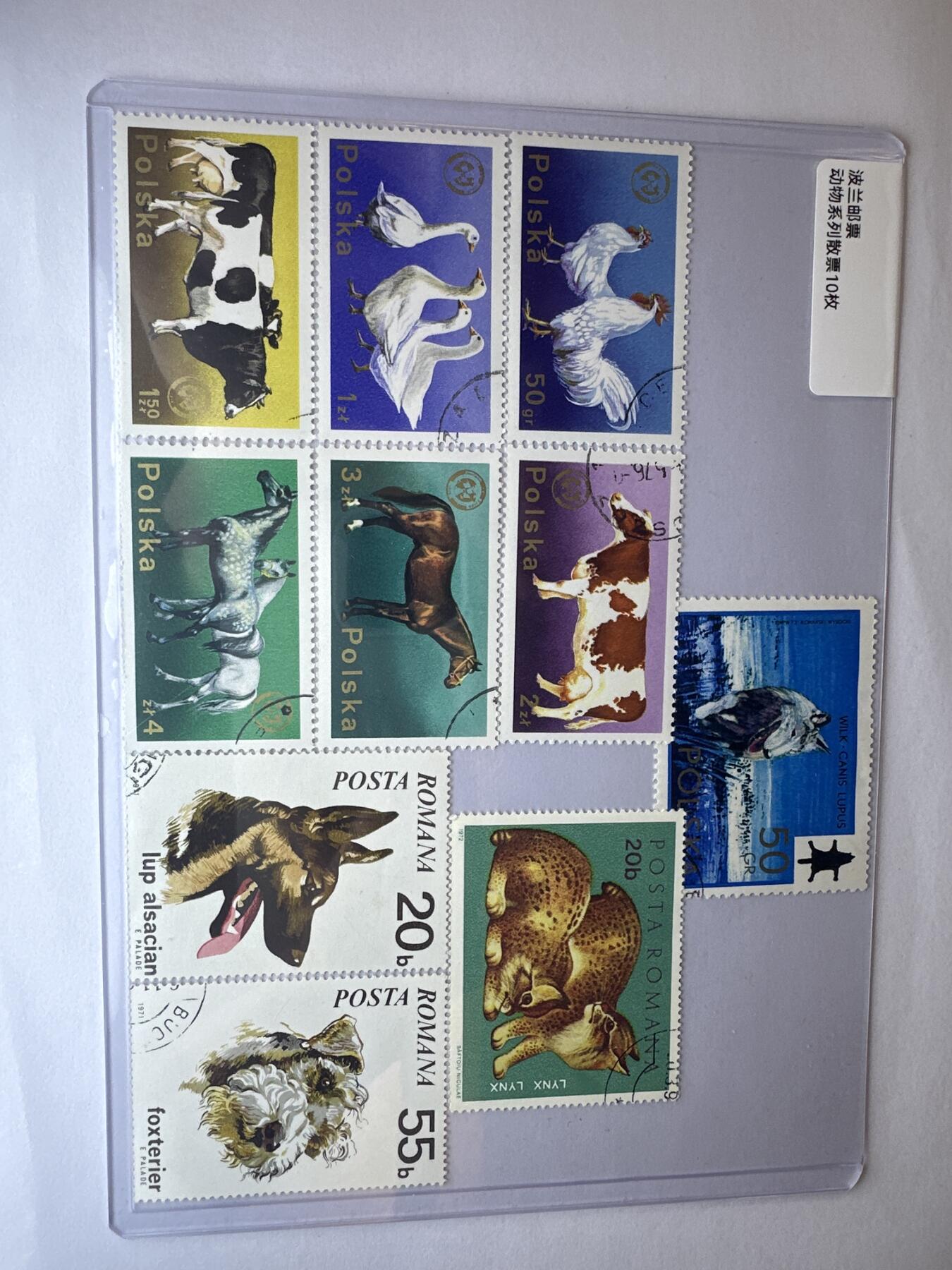 12.6邮票专场 波兰动物系列散票10枚