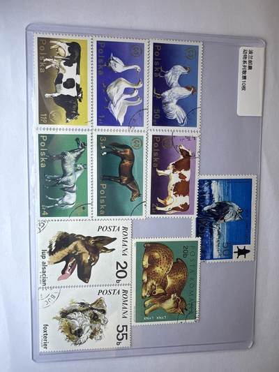 12.6邮票专场 - 波兰动物系列散票10枚