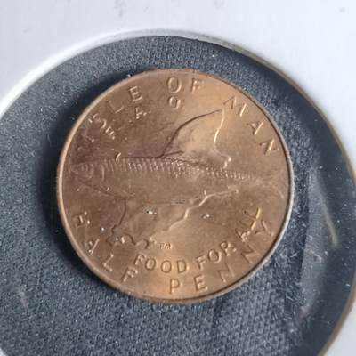 沼泽如烟--第921场 - 马恩1977年半便士FAO纪念币