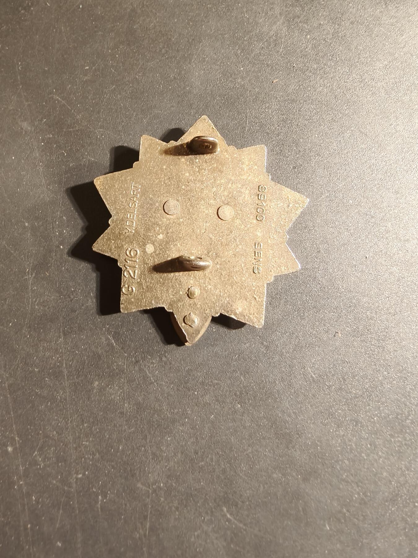 老王徽章第168期 法国第33区域资源团证章