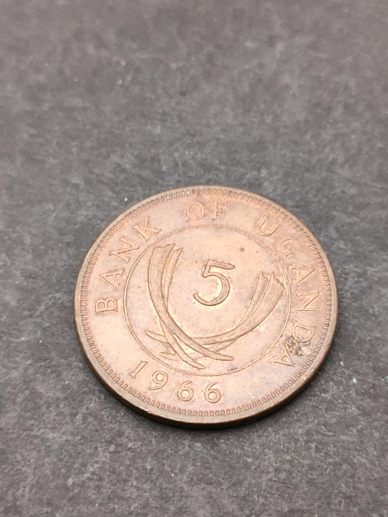 猩哥外币小铺➨【第205场】 非洲