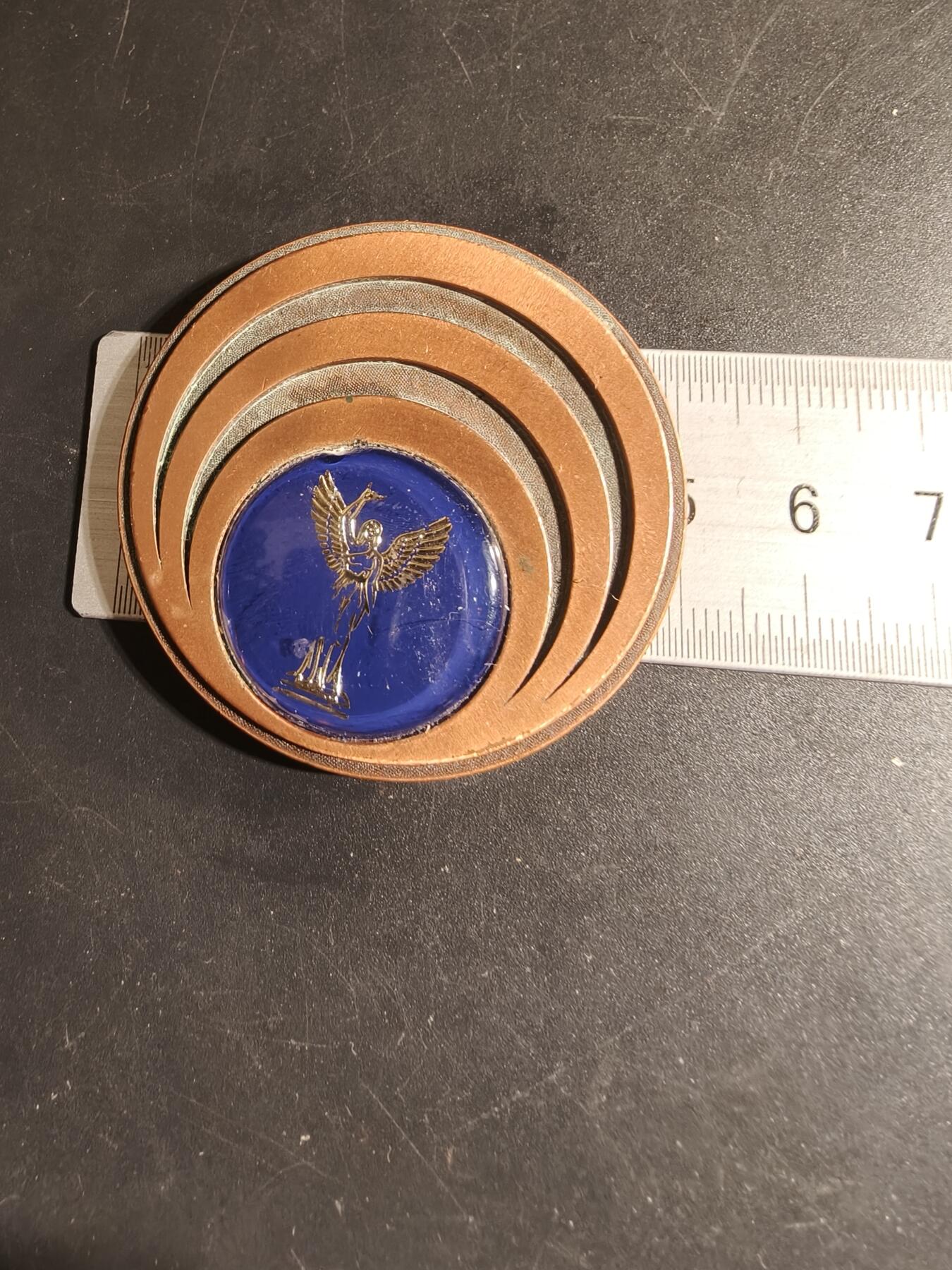 老王徽章第168期 法国纪念章    直径50mm.    重量50mm