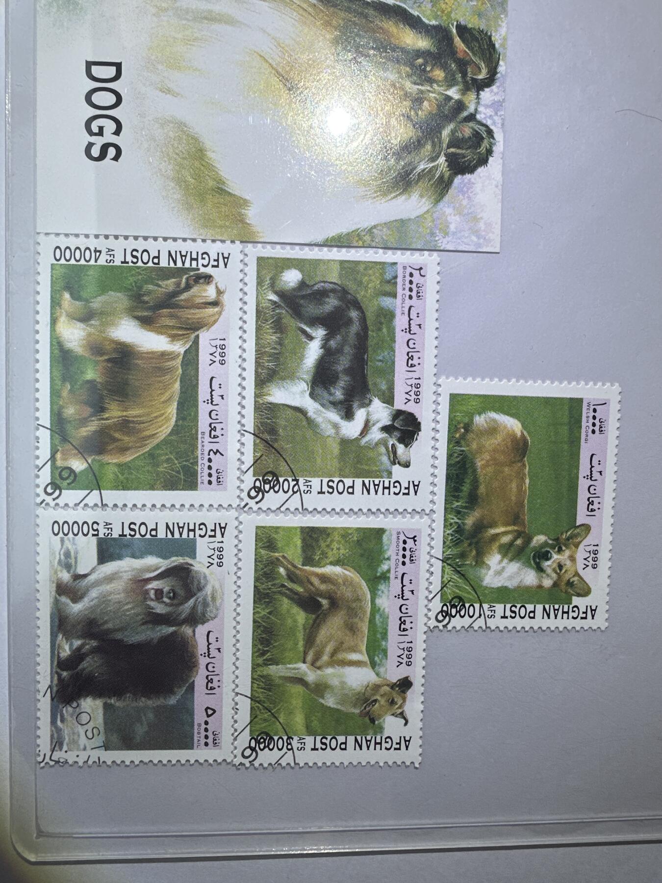 12.6邮票专场 阿富汗1999年世界名犬系列5全+小型张