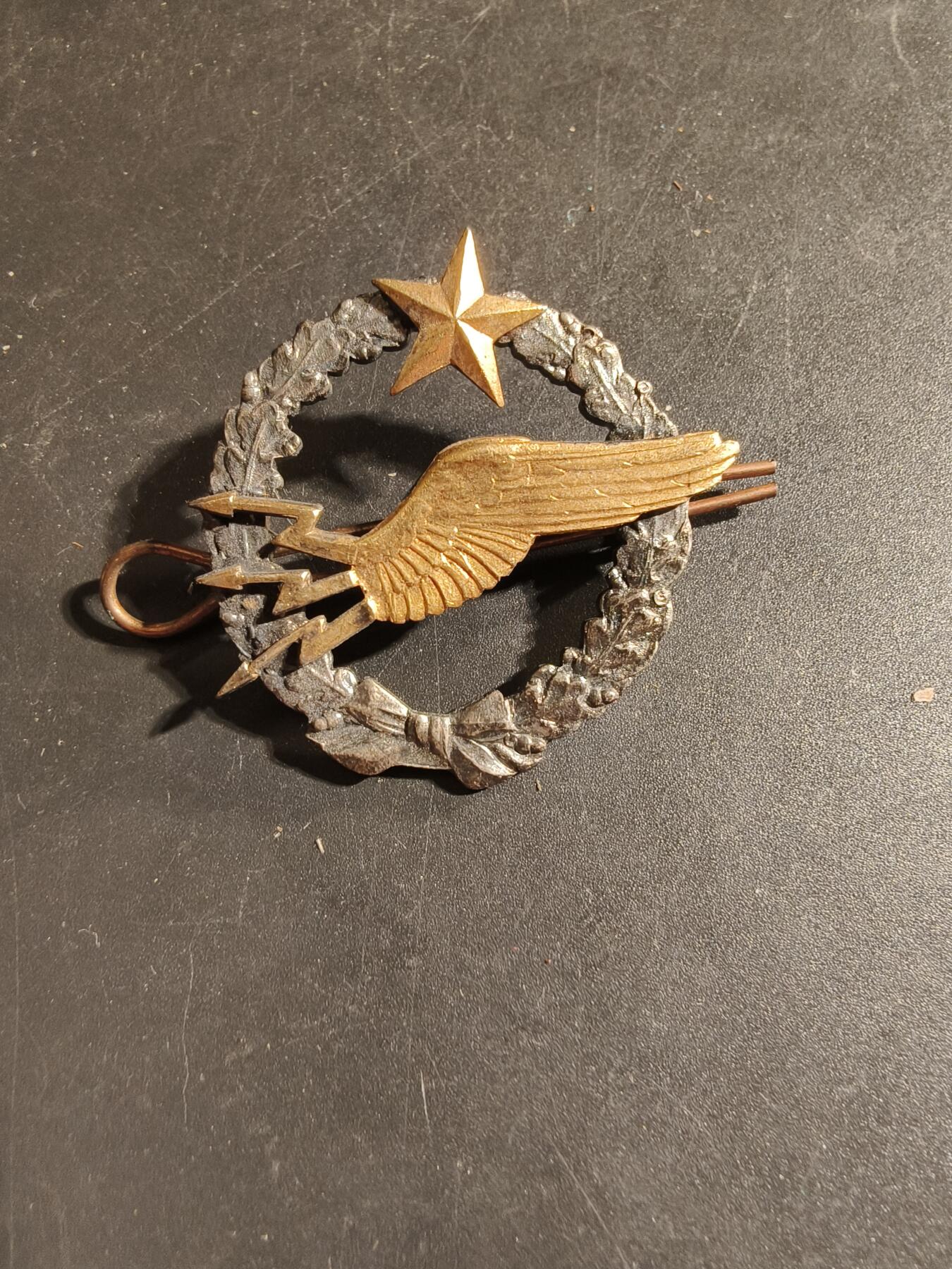 老王徽章第168期 法国空军无线电操作手学员证章