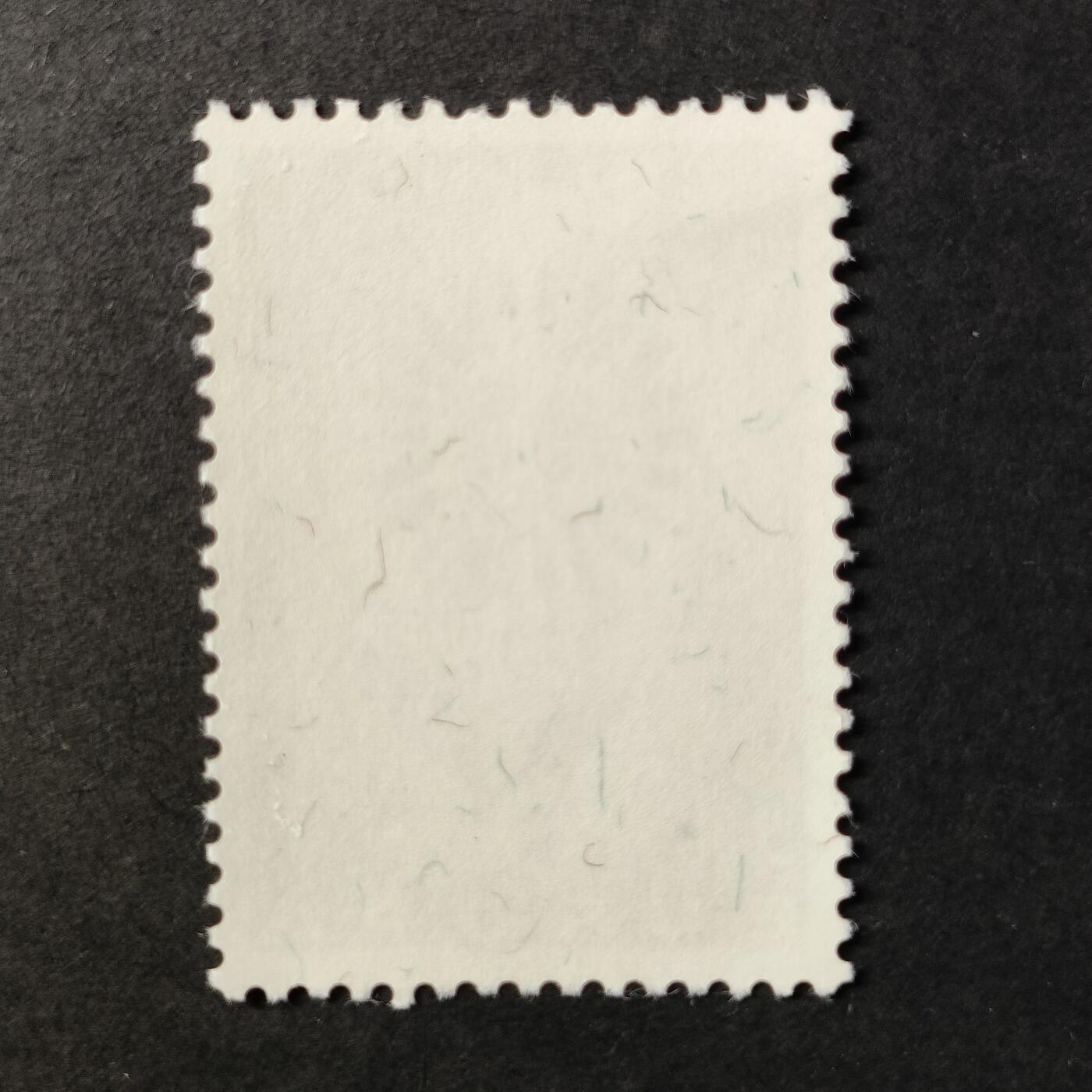 嘉禾收藏    【第398期】            无佣金、可寄存、满30元包邮 新票一枚