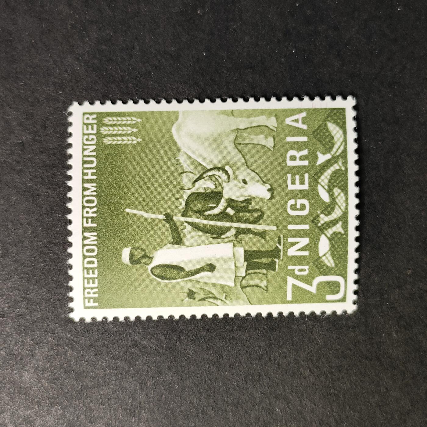 嘉禾收藏    【第398期】            无佣金、可寄存、满30元包邮 新票一枚