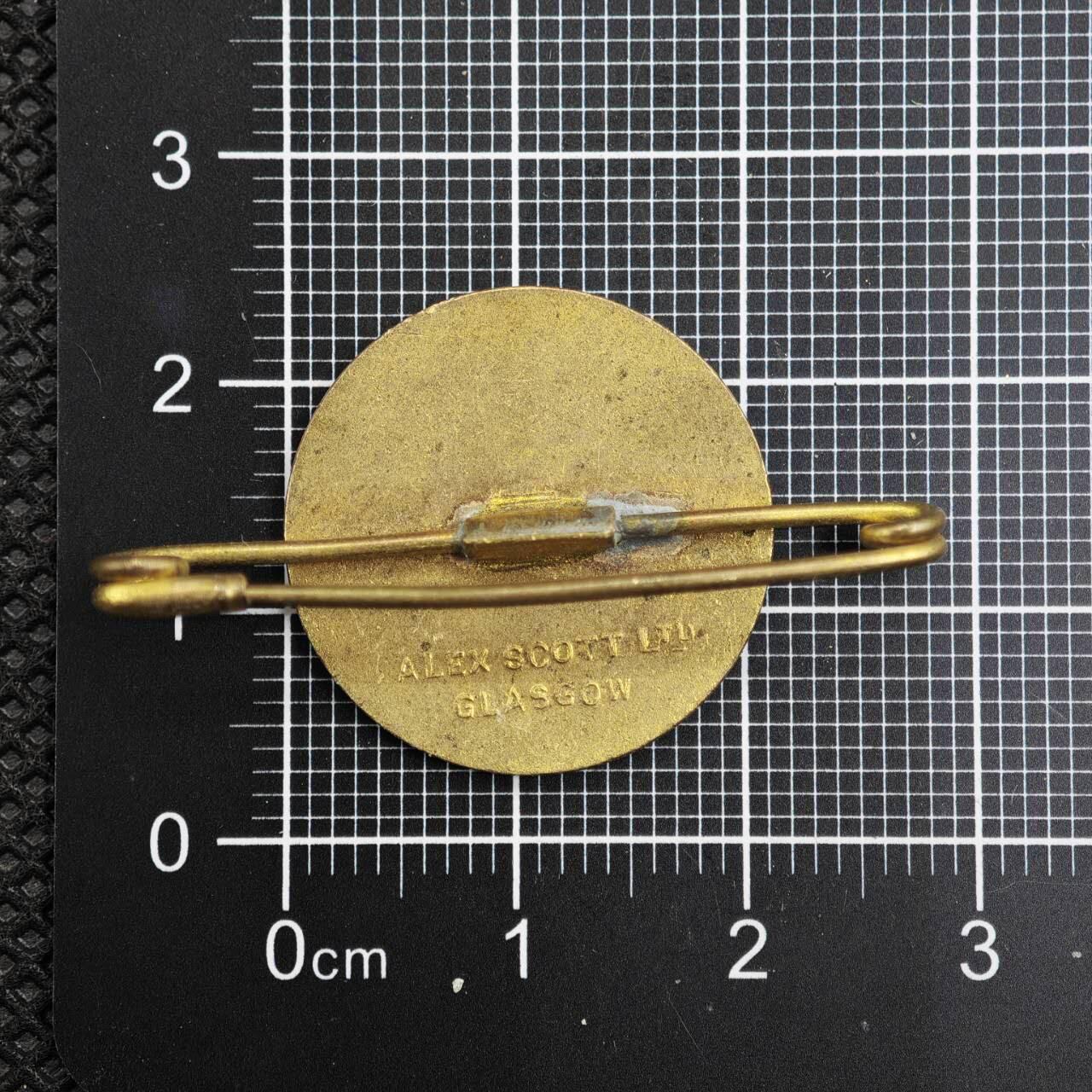 【淘币小摊】限时拍第八百二十三拍  纪念章场  满百包邮可预留两周  周一统一发货   英国红十字会苏格兰分会战争工作者徽章