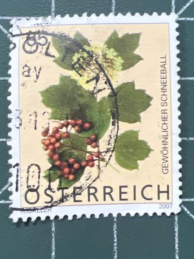 第1068 邮票专场 （无押金，捡漏，全场50包邮，偏远地区除外，接收代拍业务，本店十天发一次货） - 奥地利邮票