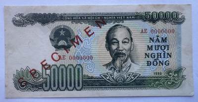 2025第25场（总第225期）：精品测试钞、塑料钞、纪念券、外钞综合场 - 票样Specimen 越南1990年版50000盾（无折有黄斑、如图）