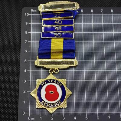 【淘币小摊】限时拍第八百二十三拍  纪念章场  满百包邮可预留两周  周一统一发货  - 长期服务奖章