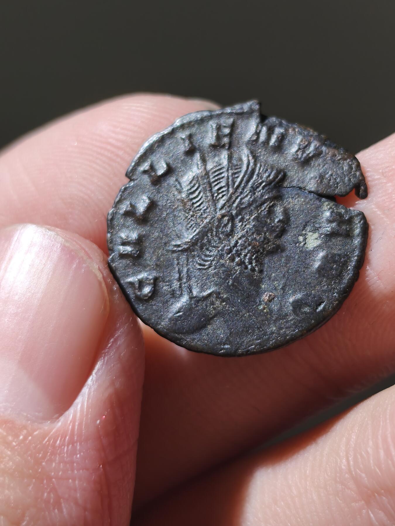 星盘世界钱币十二月六日古典币专场（流感中招了，推迟一周12.13拍）