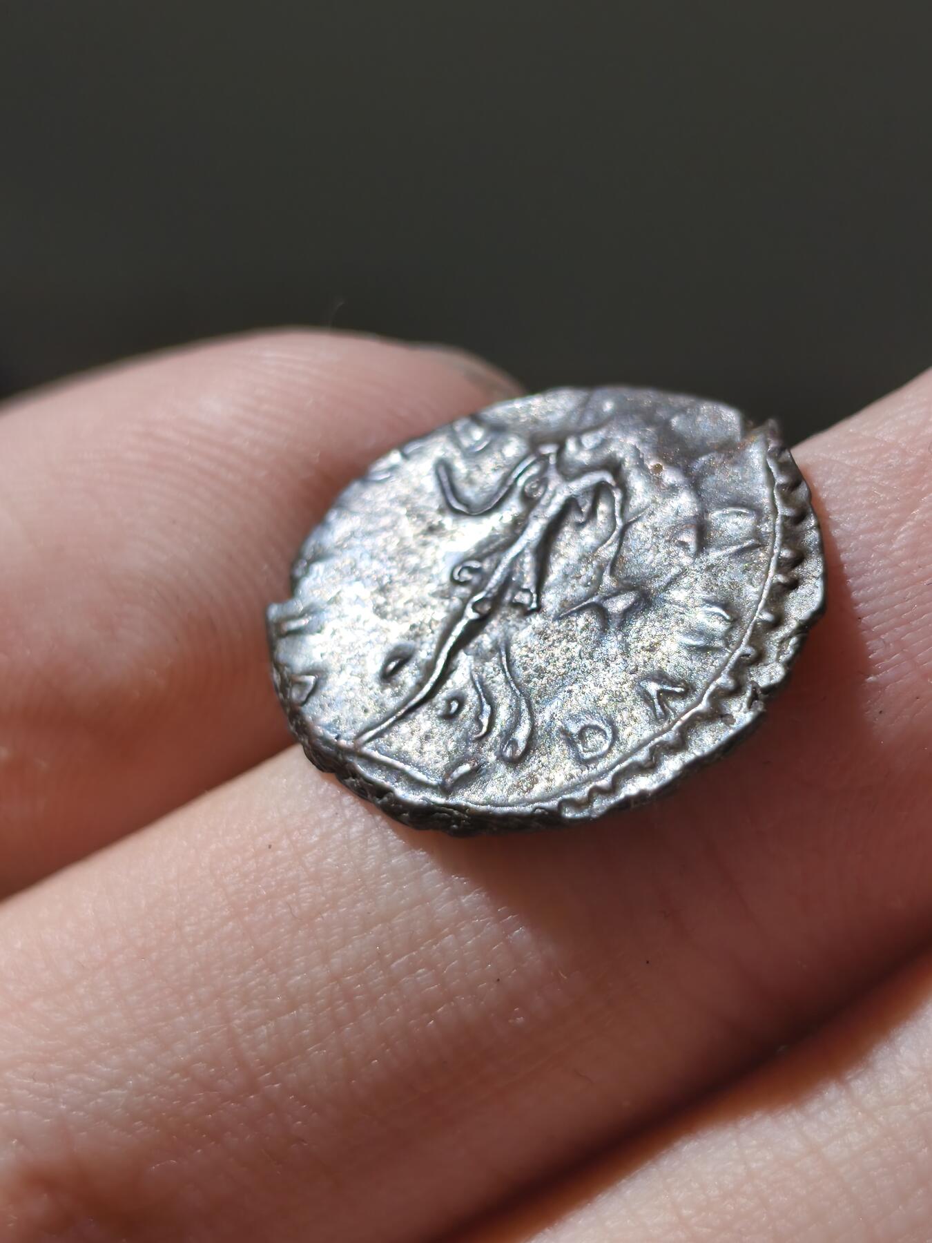 星盘世界钱币十二月六日古典币专场（流感中招了，推迟一周12.13拍）