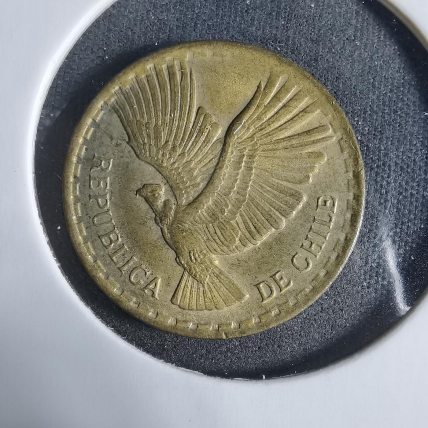 沼泽如烟--第923场