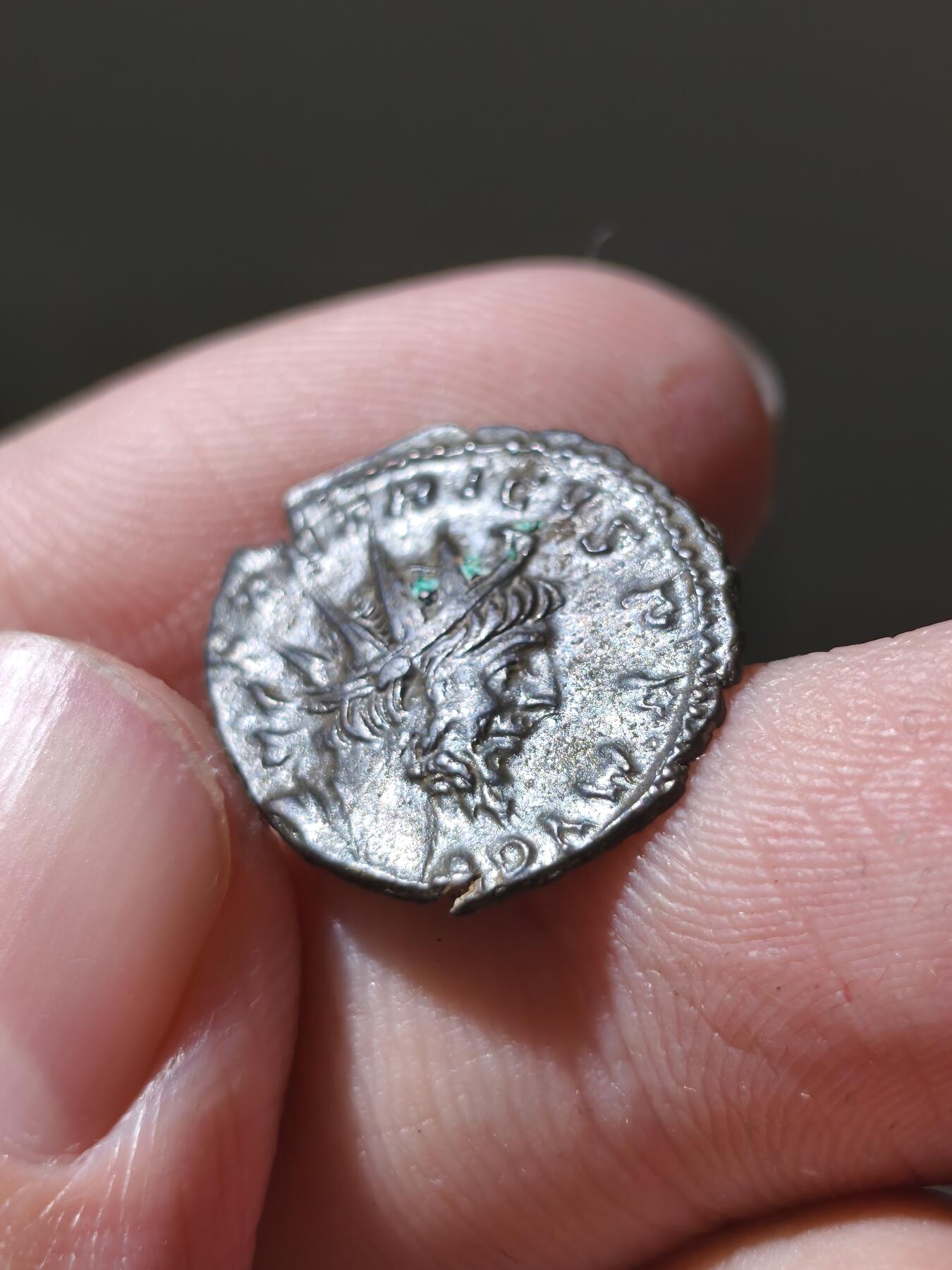 星盘世界钱币十二月六日古典币专场（流感中招了，推迟一周12.13拍）