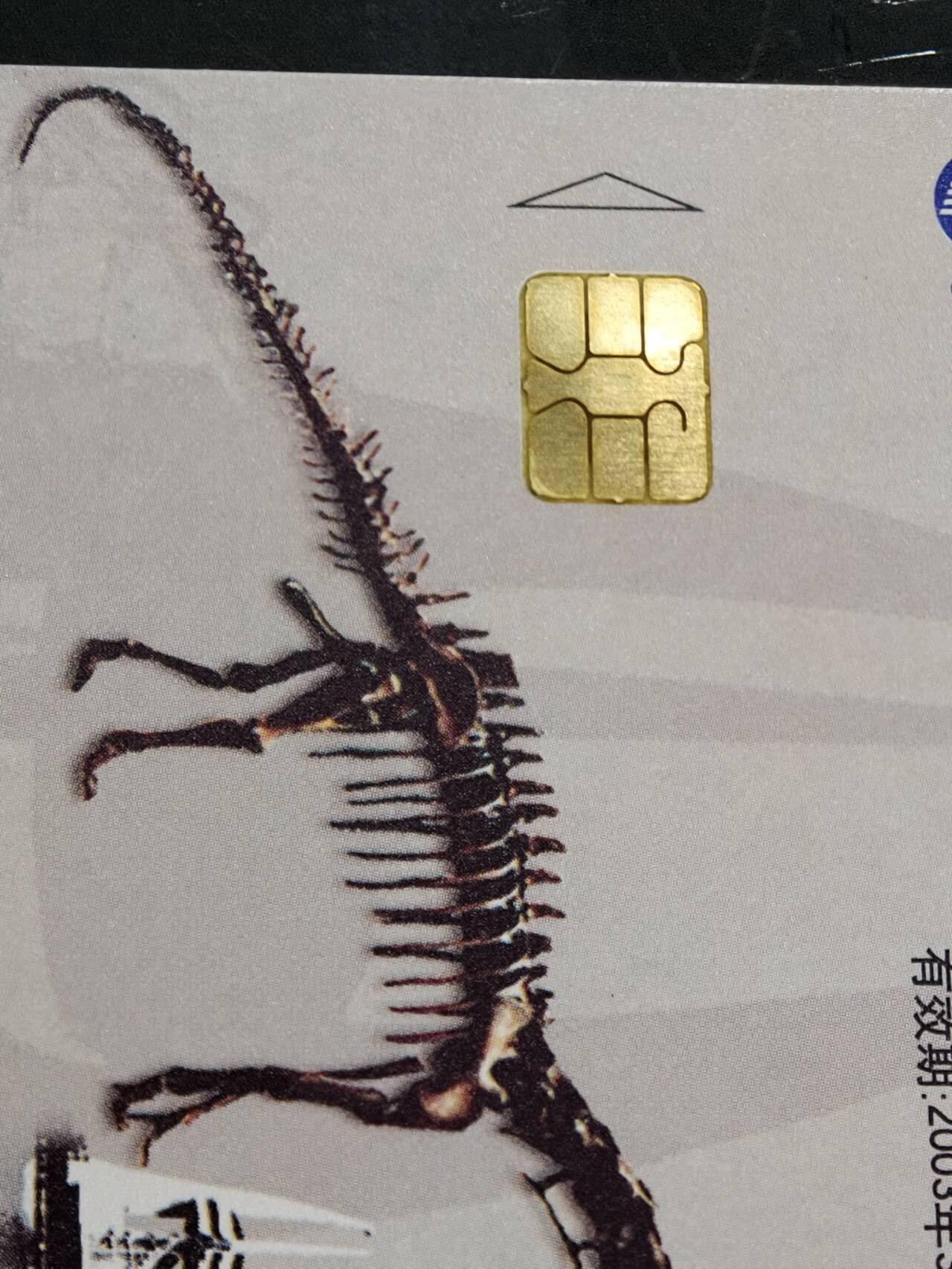 公藏第59期裸卡拍卖 电信IC新卡【IC-51  恐龙】5全无封套广东版。品好。