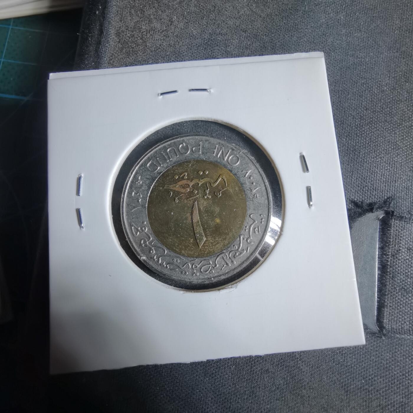 沼泽如烟--第923场