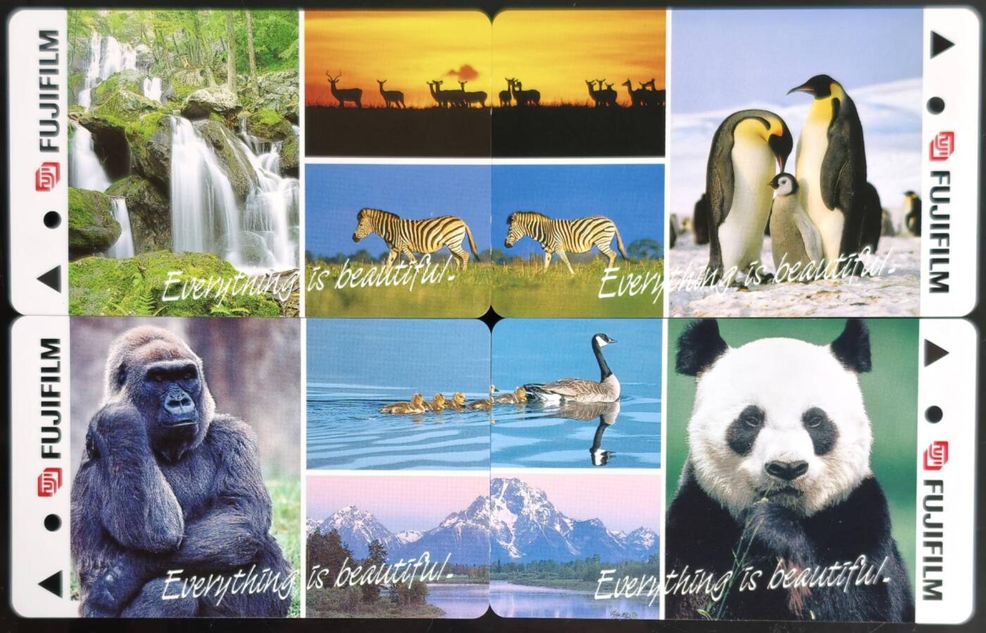 公藏第59期裸卡拍卖 新加坡地铁卡【珍稀动物】4全拼图卡。品好。