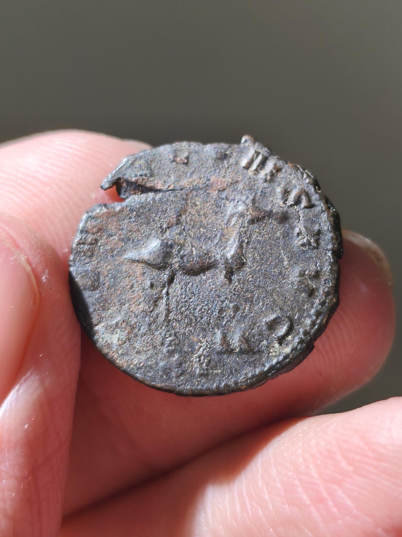 星盘世界钱币十二月六日古典币专场（流感中招了，推迟一周12.13拍）