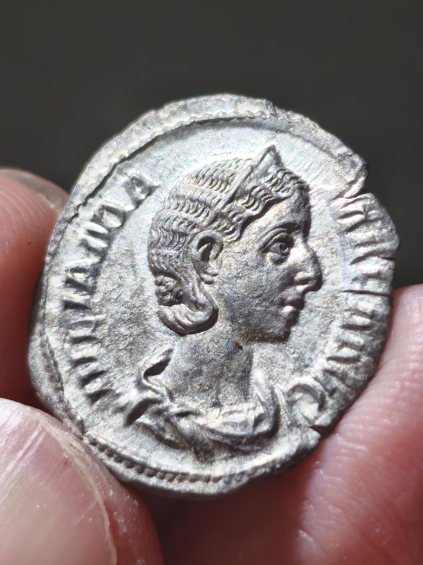 星盘世界钱币十二月六日古典币专场（流感中招了，推迟一周12.13拍）